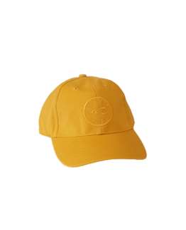 Baseball cap Camel active